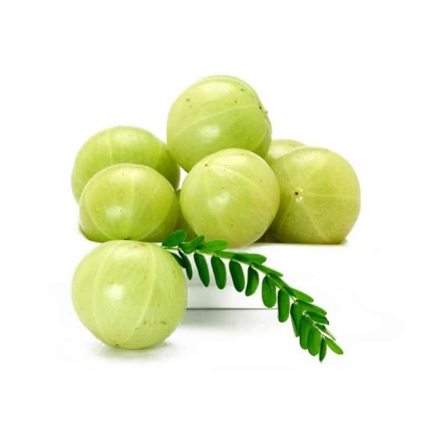 Indian Gooseberry (Awala)